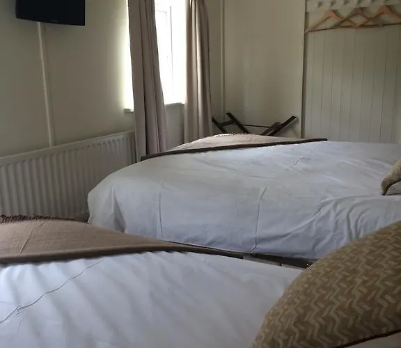 Buckfield * 韦斯特波特